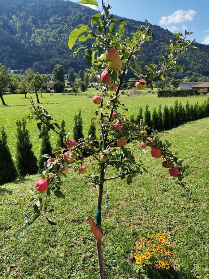 Apartment - Ferienwohnung 1 Treffen Am Ossiachersee Dış mekan fotoğraf